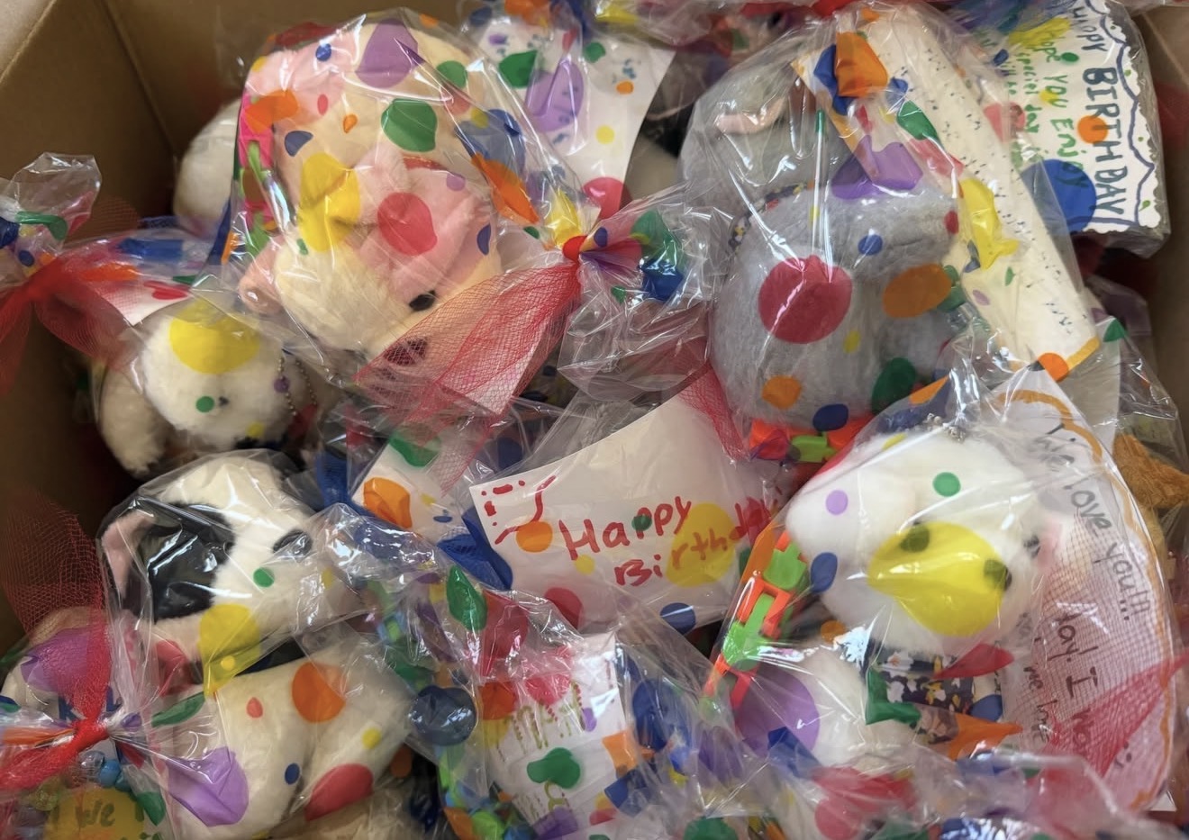 Completed hospice birthday bags ready for delivery